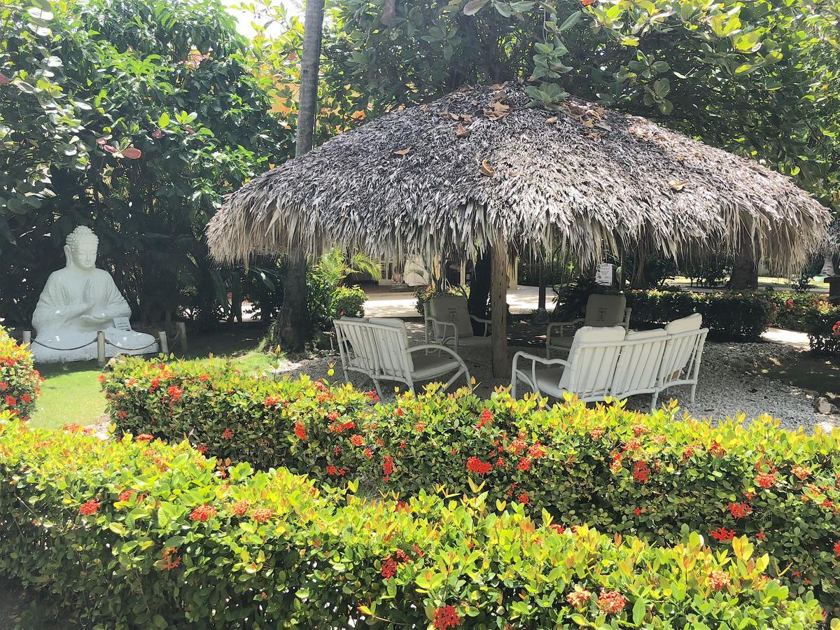 Las Terrazas Vip Pool Beach Club & Spa 蓬塔卡纳 外观 照片